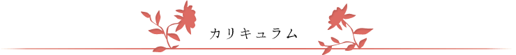 カリキュラム