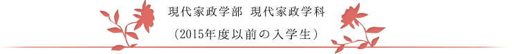 現代家政学部 現代家政学科　その他のコース