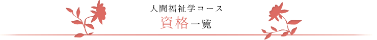 人間福祉学コース資格一覧