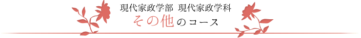 現代家政学部 現代家政学科　その他のコース