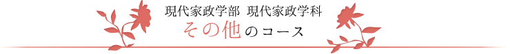 現代家政学部 現代家政学科　その他のコース