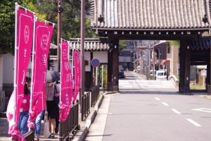 残暑厳しい京都の街並み“華頂タウン”