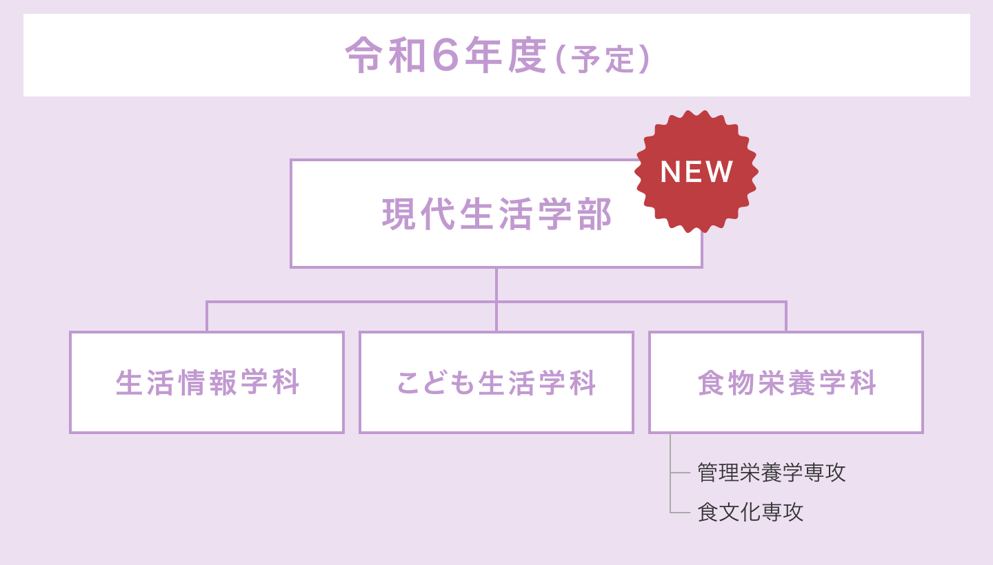 令和６年度からの新しい学部・学科構成